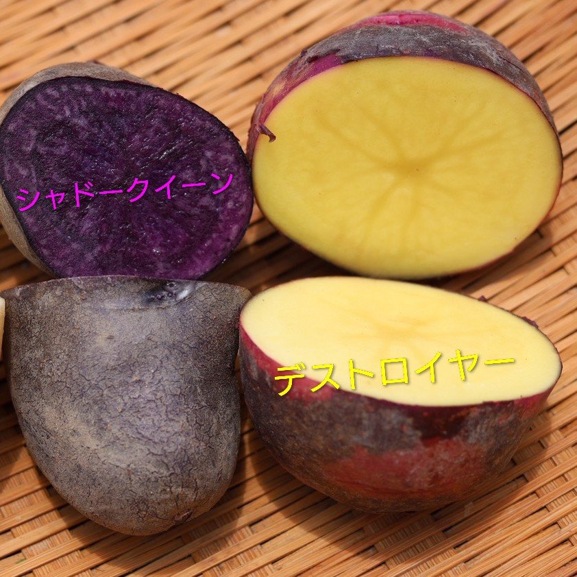最終1箱)食べ比べ🥔デストロイヤー、シャドークイーン | 野菜 最終1箱)食べ比べ🥔デストロイヤー、シャドークイーン | 野菜
