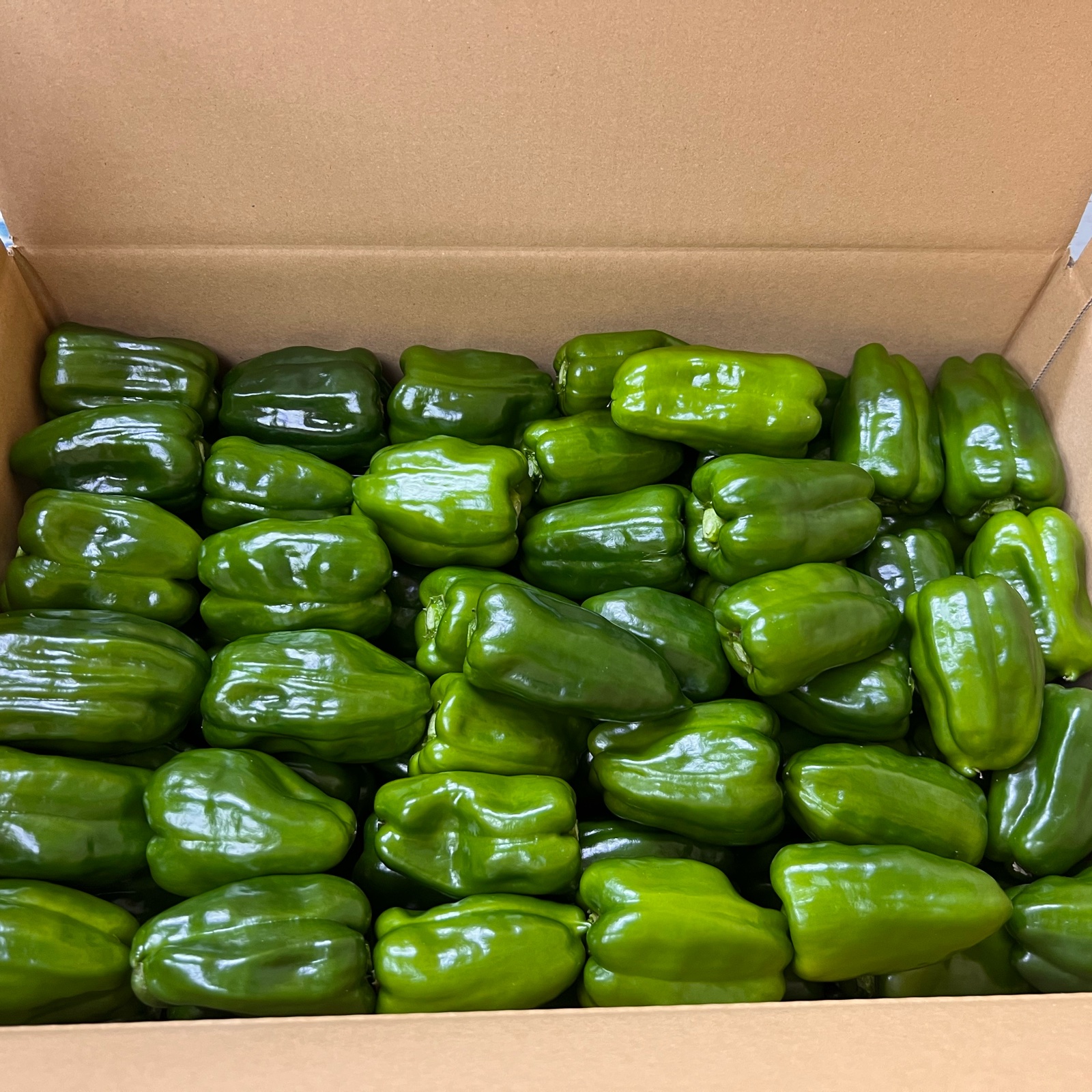 有機ピーマン サイズ混合 3kg 有機JAS (鹿児島県 SOHファーム) 産地