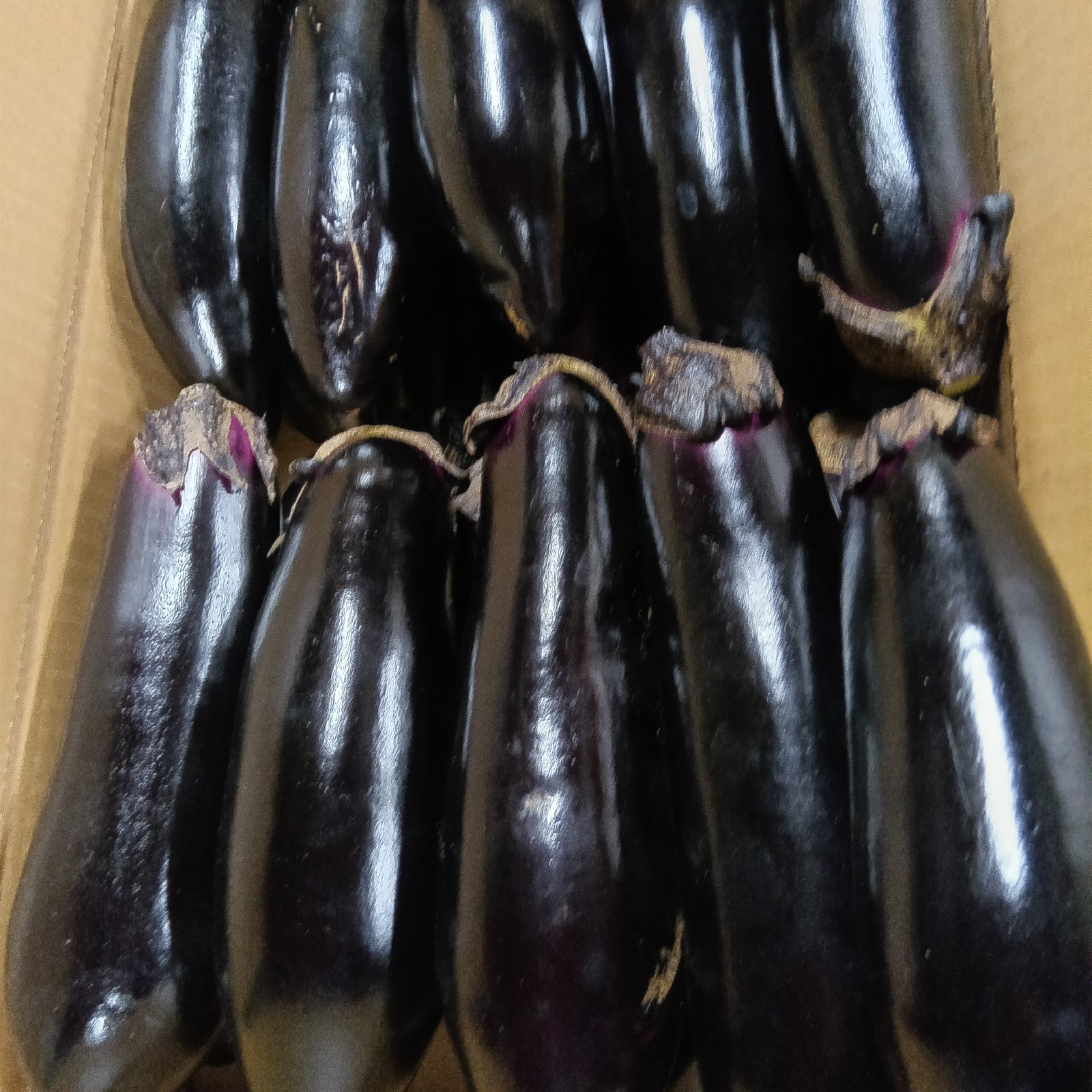 とろける長ナス ｜ 野菜/茄子 産直アウル 農家・漁師など生産者から