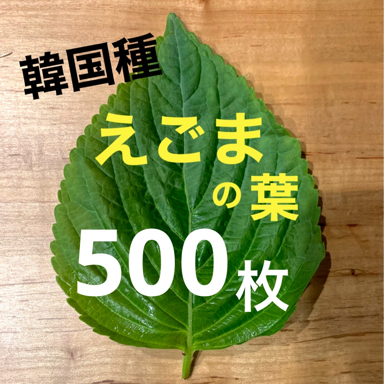 兵庫県産 韓国品種 えごまの葉 1000枚 鮮度抜群 cefde8d9bf7f6b7078a75408d86bf5