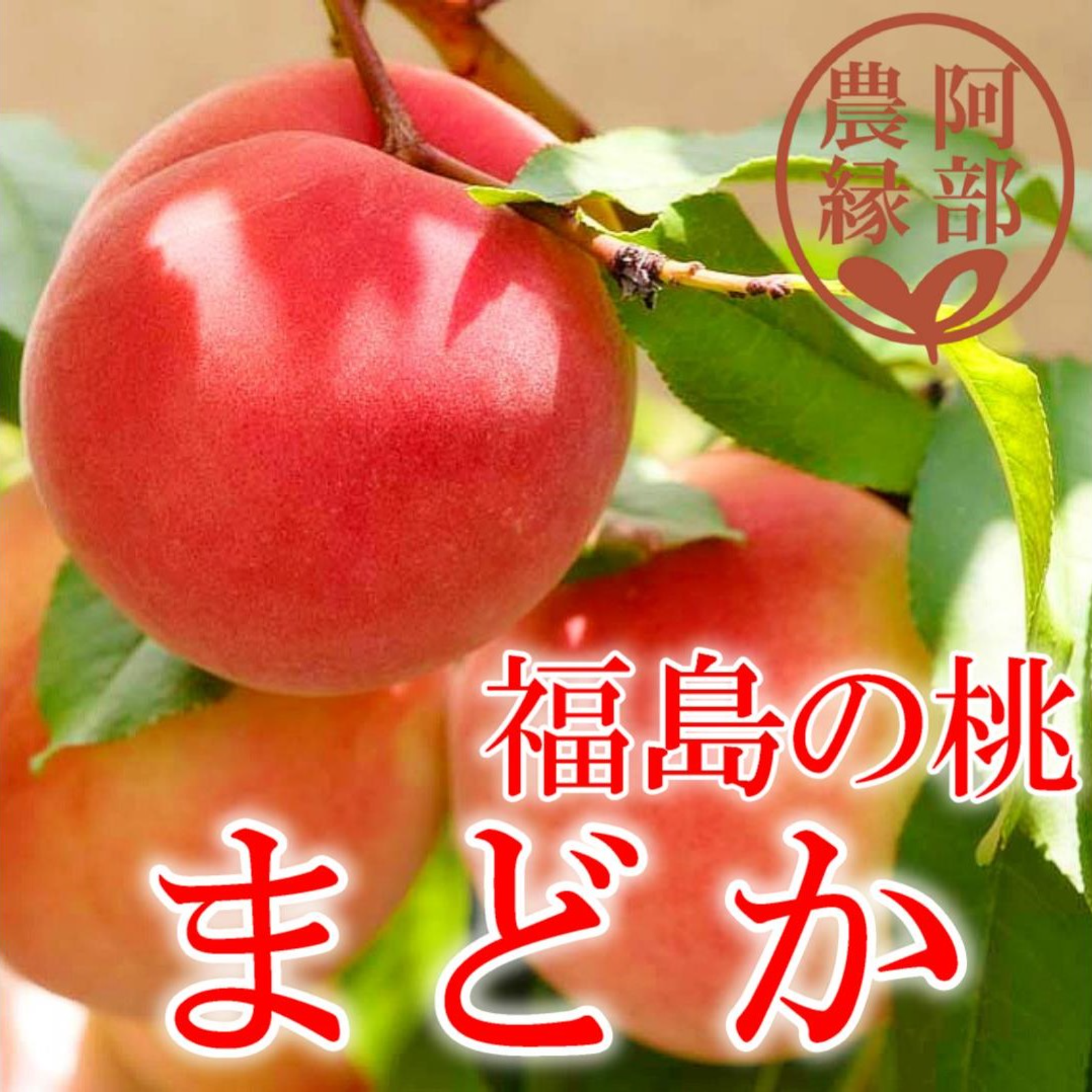 福島の完熟もも まどか2kg（6～9玉） ギフト・贈答用に【8月上旬～8 