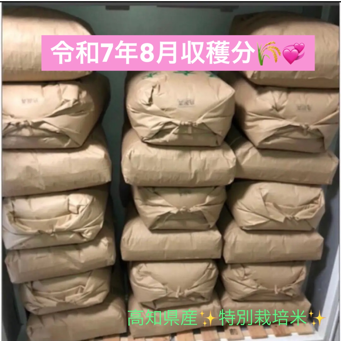 令和7年　高知県産　玄米　30キロ Amazon.co.jp: 2025 コシヒカリ 高知県産 令和7年 玄米30kg 高知