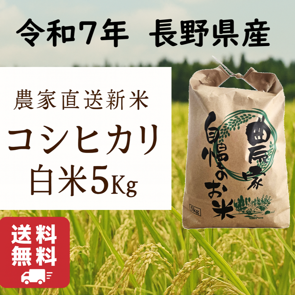 7年 長野県産コシヒカリ アルプスの恵み 低農薬/農家直送 20kg白米 R
