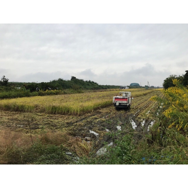 農家の食べてるお米《奈良県産ヒノヒカリ10kg》 ｜ 米・穀物/米/精米