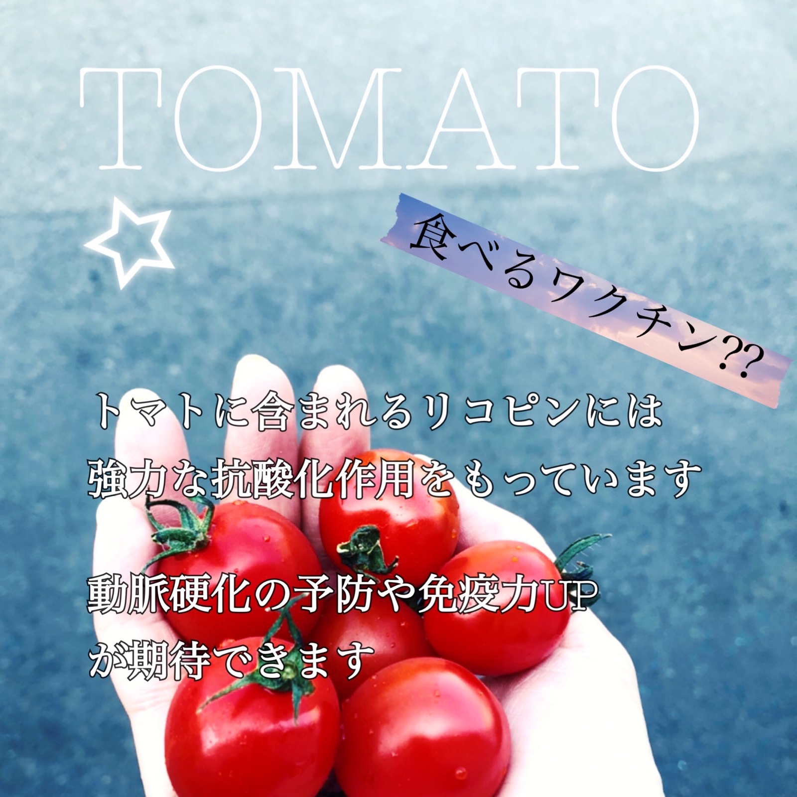 プレミアムルビー(ミニトマト) ｜ 野菜/トマト 産直アウル 農家・漁師