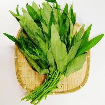 空芯菜（エンツァイ）栽培期間中農薬不使用 ｜ 野菜/葉物 産直アウル