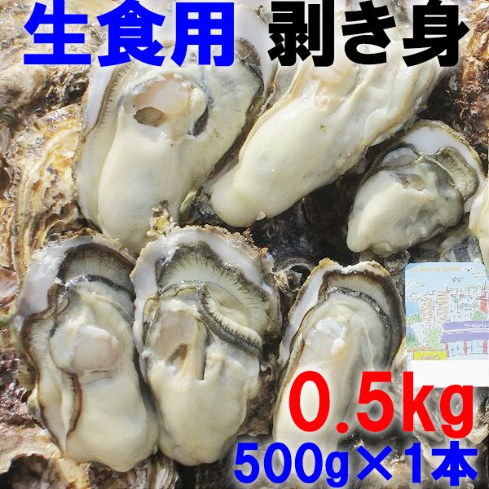 お一人様限定特別価格！　注文受付後水揚げ！真牡蠣10kg
