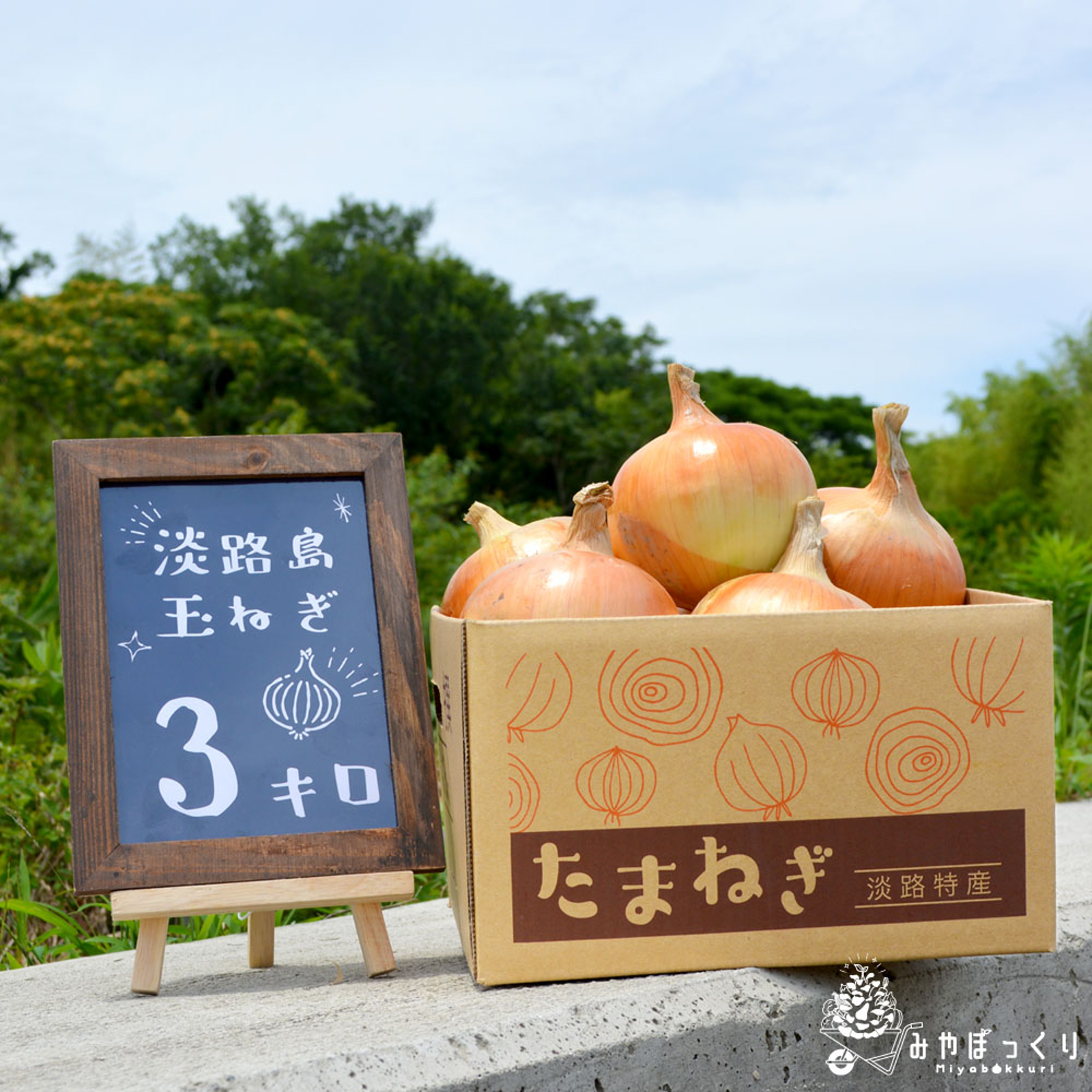 淡路島産たまねぎといえばコレ『中生たまねぎターザン』3kg | 野菜