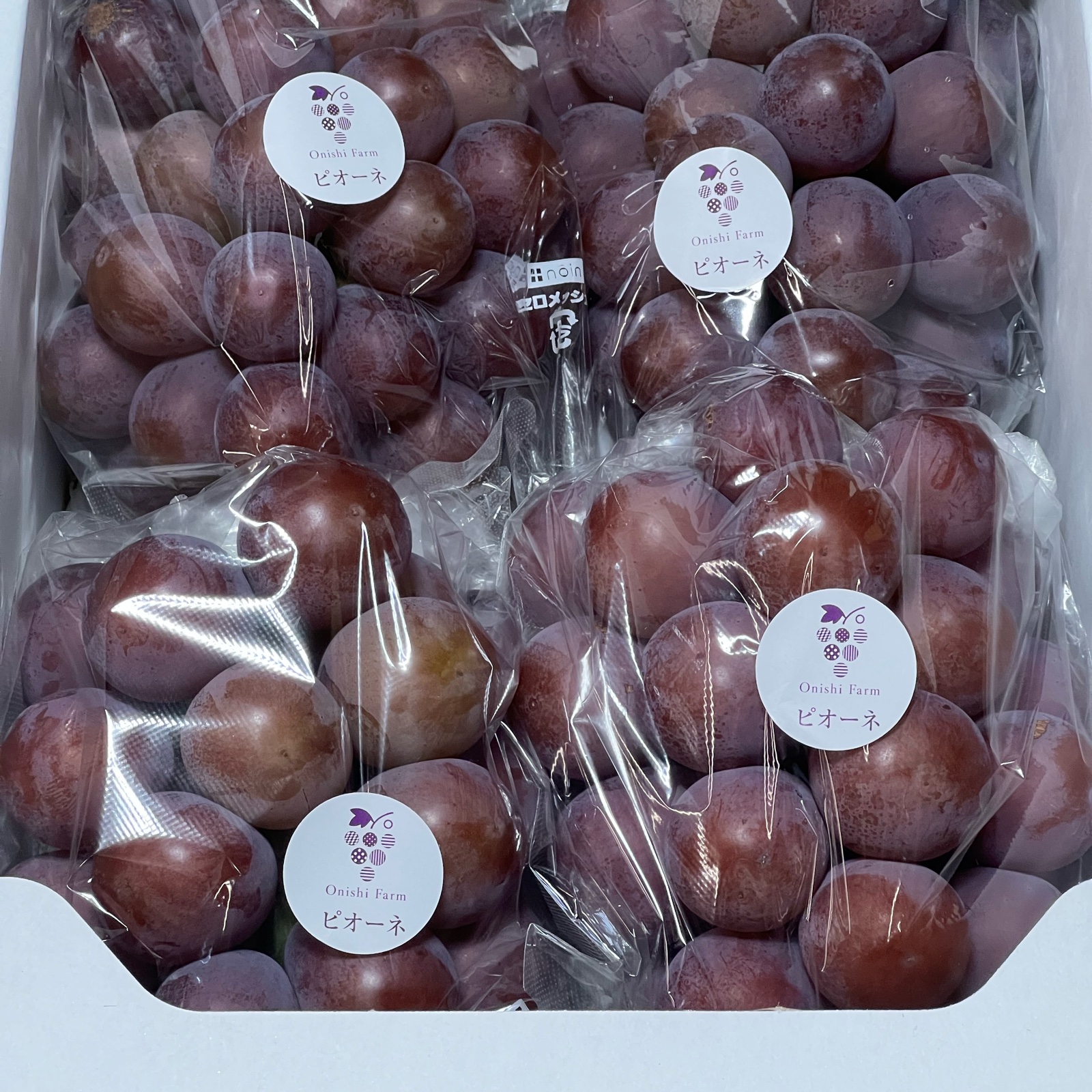 asaii.made　クール便　岡山ピオーネ　きれいな家庭用2キロ ご家庭用】岡山県産ピオーネ2kg ｜ 果物/ぶどう 産直アウル 農家・漁師