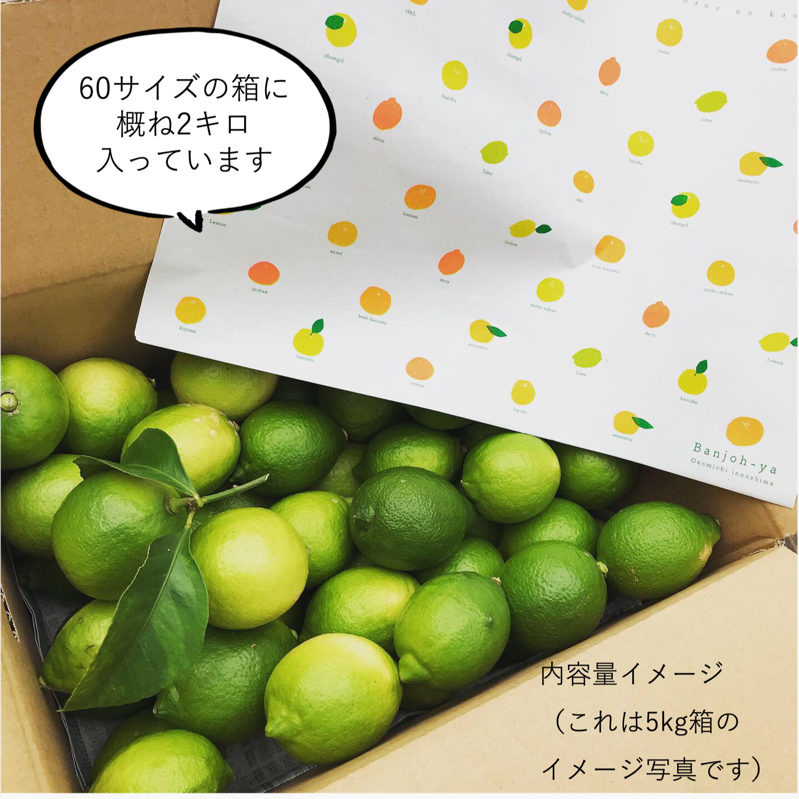 瀬戸内・因島】しまのレモン（家庭用）お試しサイズ ｜ 果物/香酸柑橘