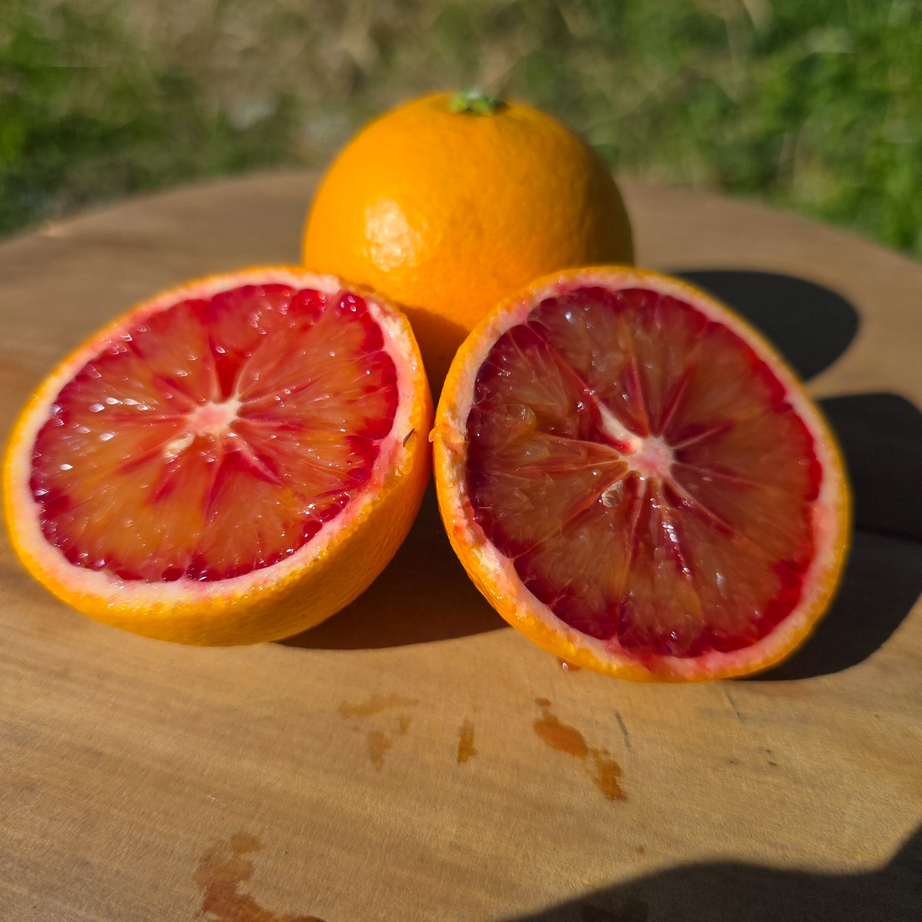 箱込約5㌔ ブラッドオレンジモロ | 果物/オレンジ・その他みかん 産直