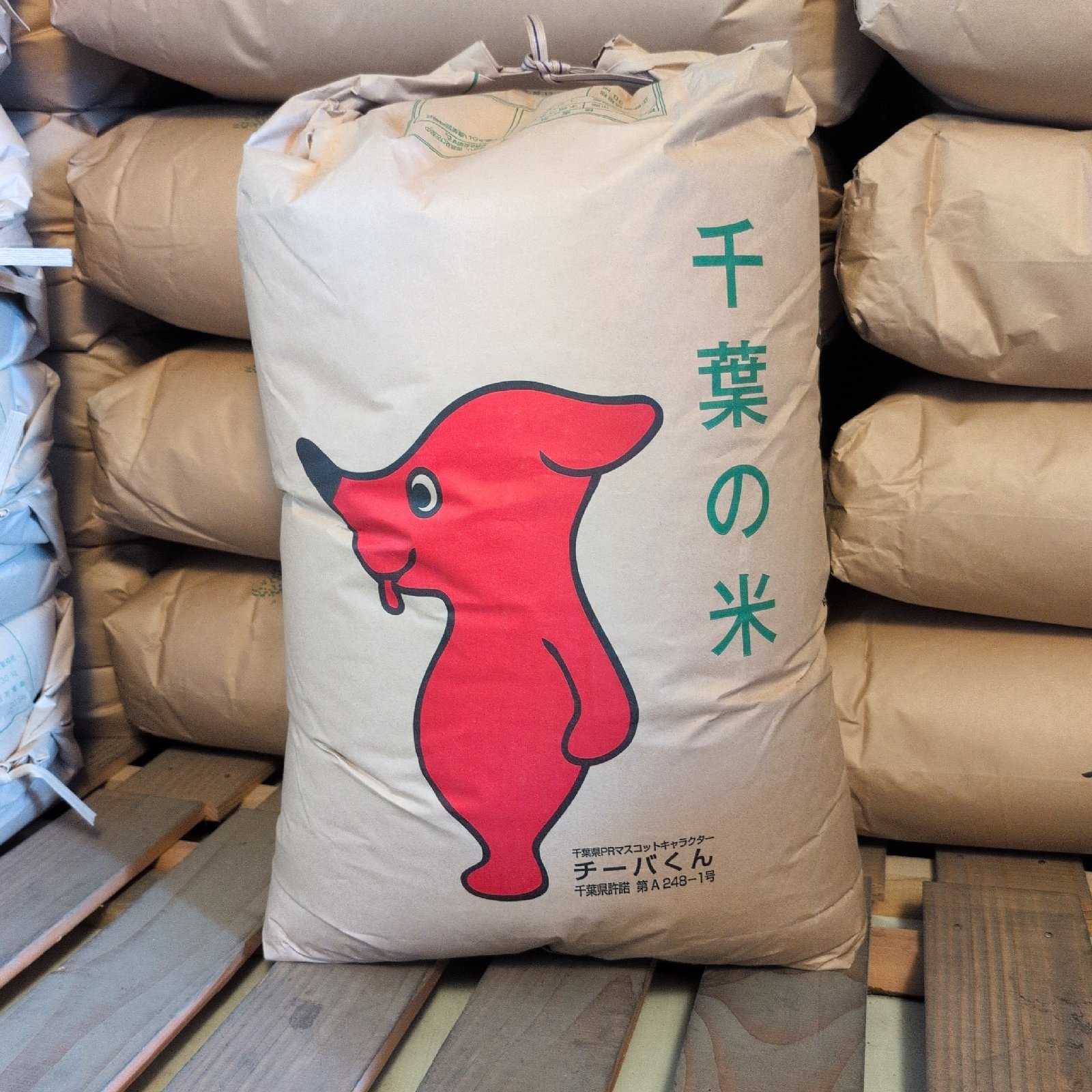 千葉県産 令和7年産 コシヒカリ 白米 20kg ｜ 米・穀物/米/精米 産直