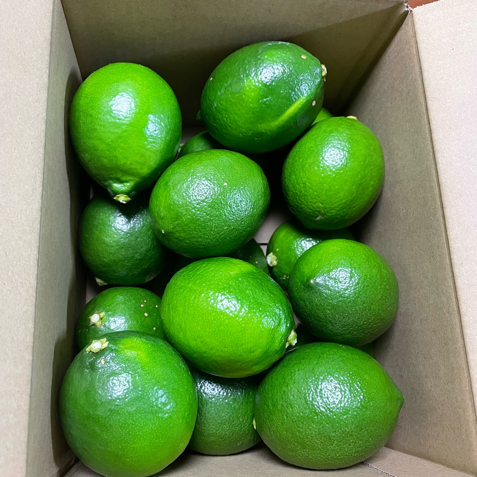 20日間限定！爽やか国産グリーンレモン（マイヤー種） | 果物/香酸