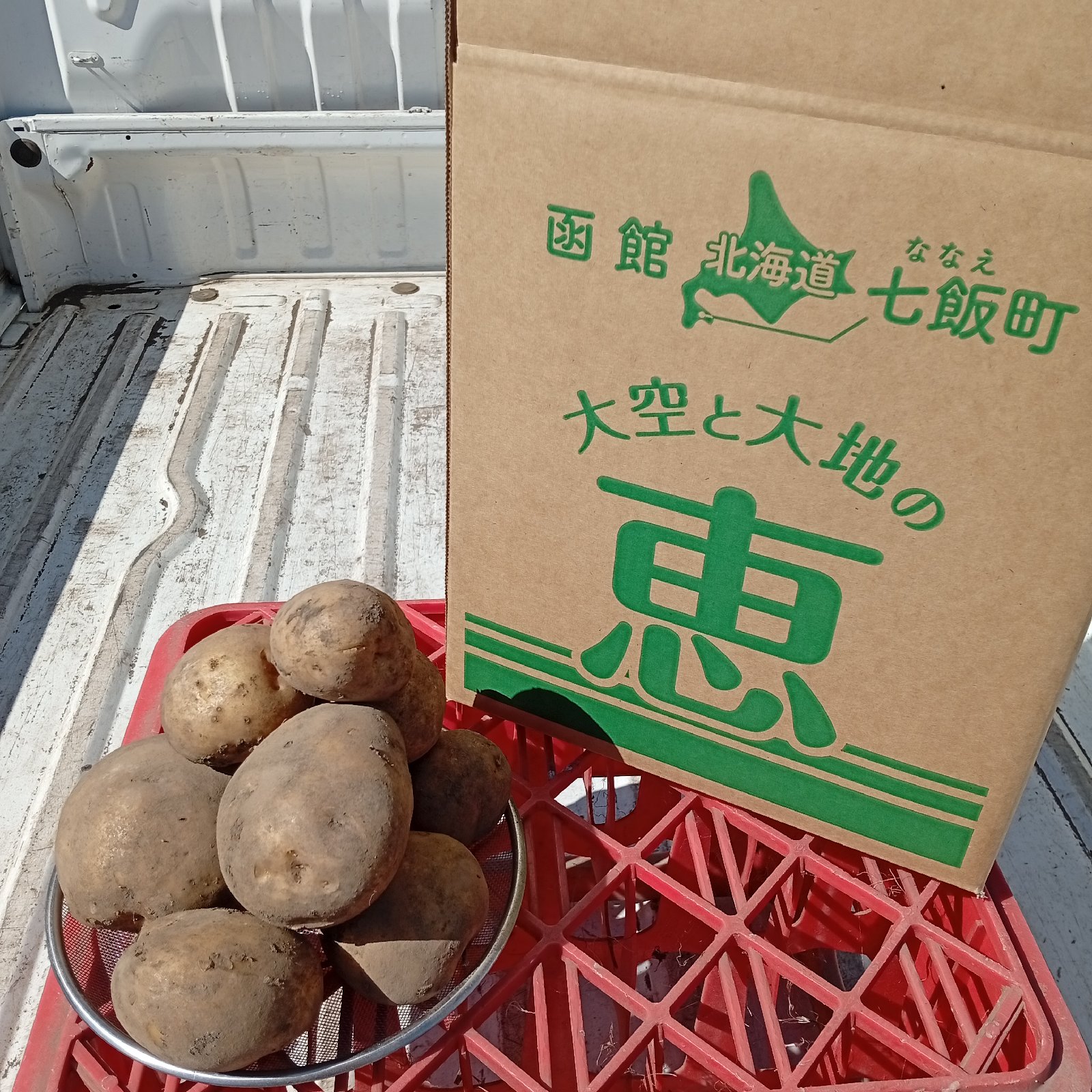 新じゃが】きたかむい M〜2Lサイズ混合 4.5kg ｜ 野菜/じゃがいも 産直