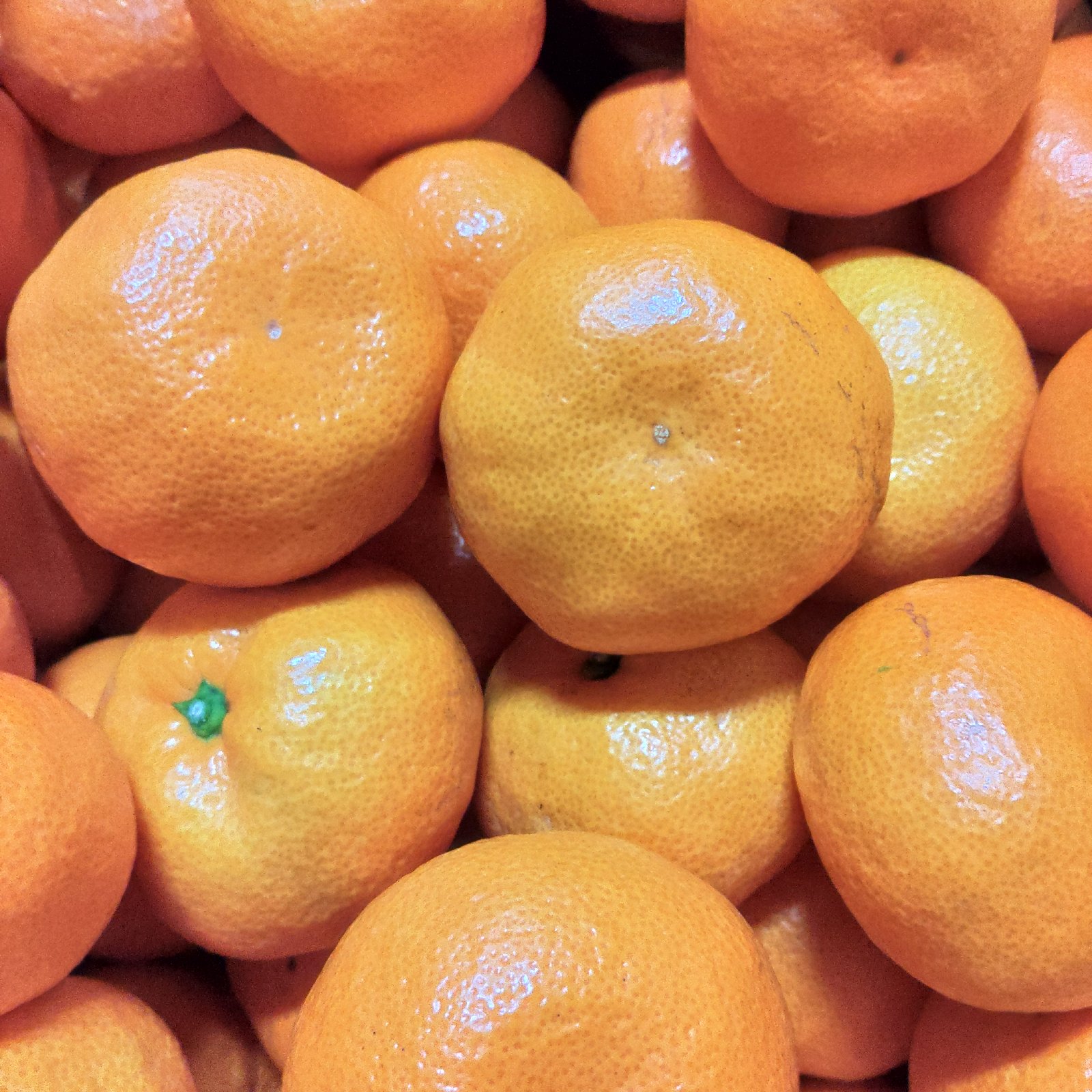 大玉】有田・庄助みかん5kg箱込みご家庭(大玉2L～3Lサイズ混合) | 果物