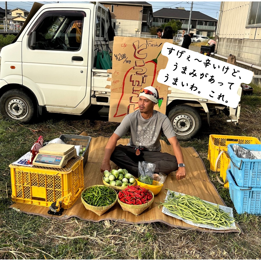 大容量！ワカイファーミーの国産赤唐辛子(5キロ) ｜ 野菜/スパイス