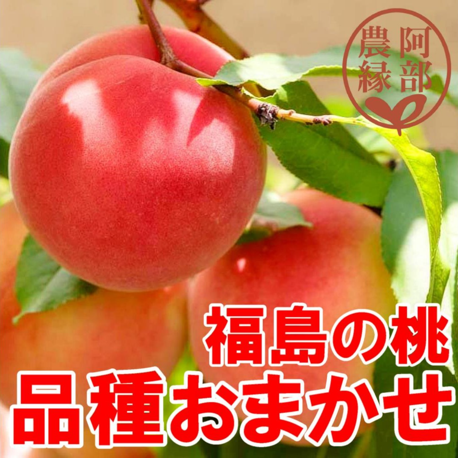 850.早勝ち福島産完熟桃箱込み15kg超訳あり加工用玉数お任せクール便離島除く 桃の予約】福島の完熟もも 品種おまかせ2kg（6～9玉） ギフト・贈答