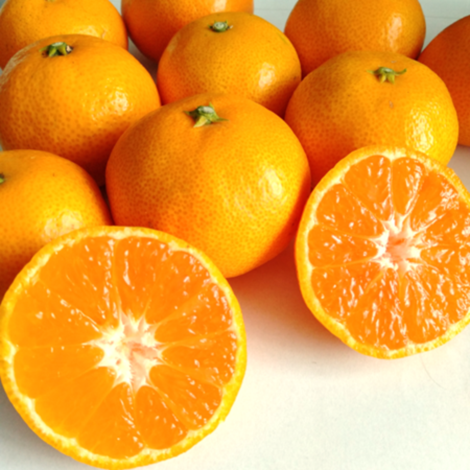 家庭用】愛媛みかん 11kg(小玉サイズ) ひとくちで恋する♡濃い味みかん