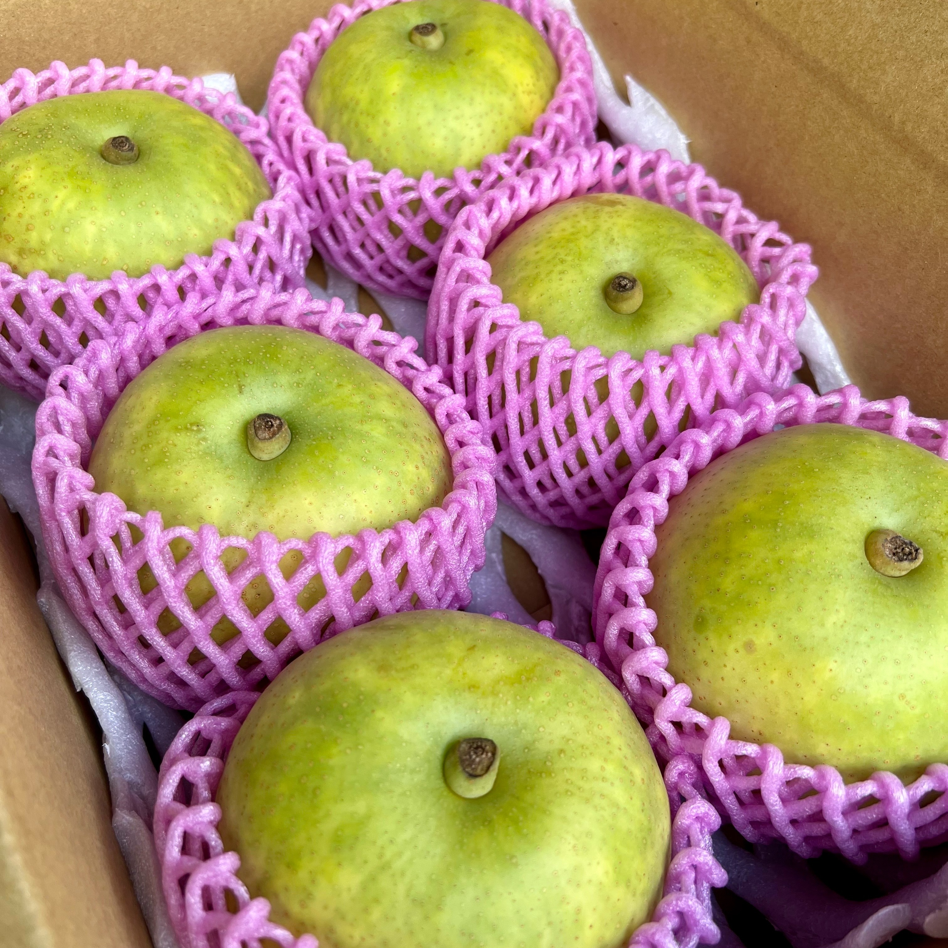 なつひめ梨 3キロ | 果物/梨 産直アウル 農家から直接野菜などの食材を