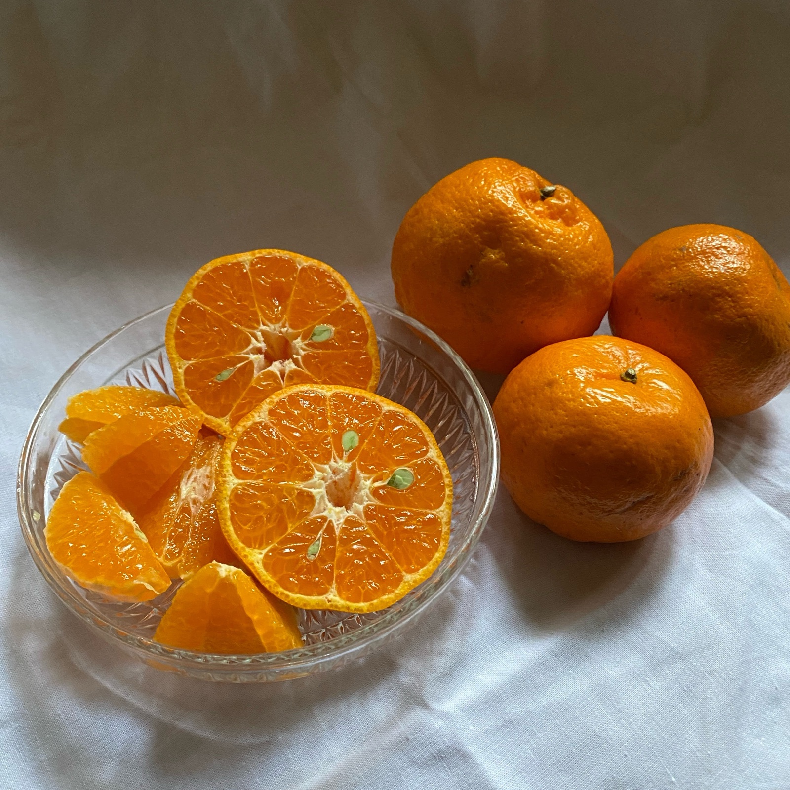 家庭用】屋久島産ぽんかん3kg ｜ 果物/オレンジ・その他みかん 産直