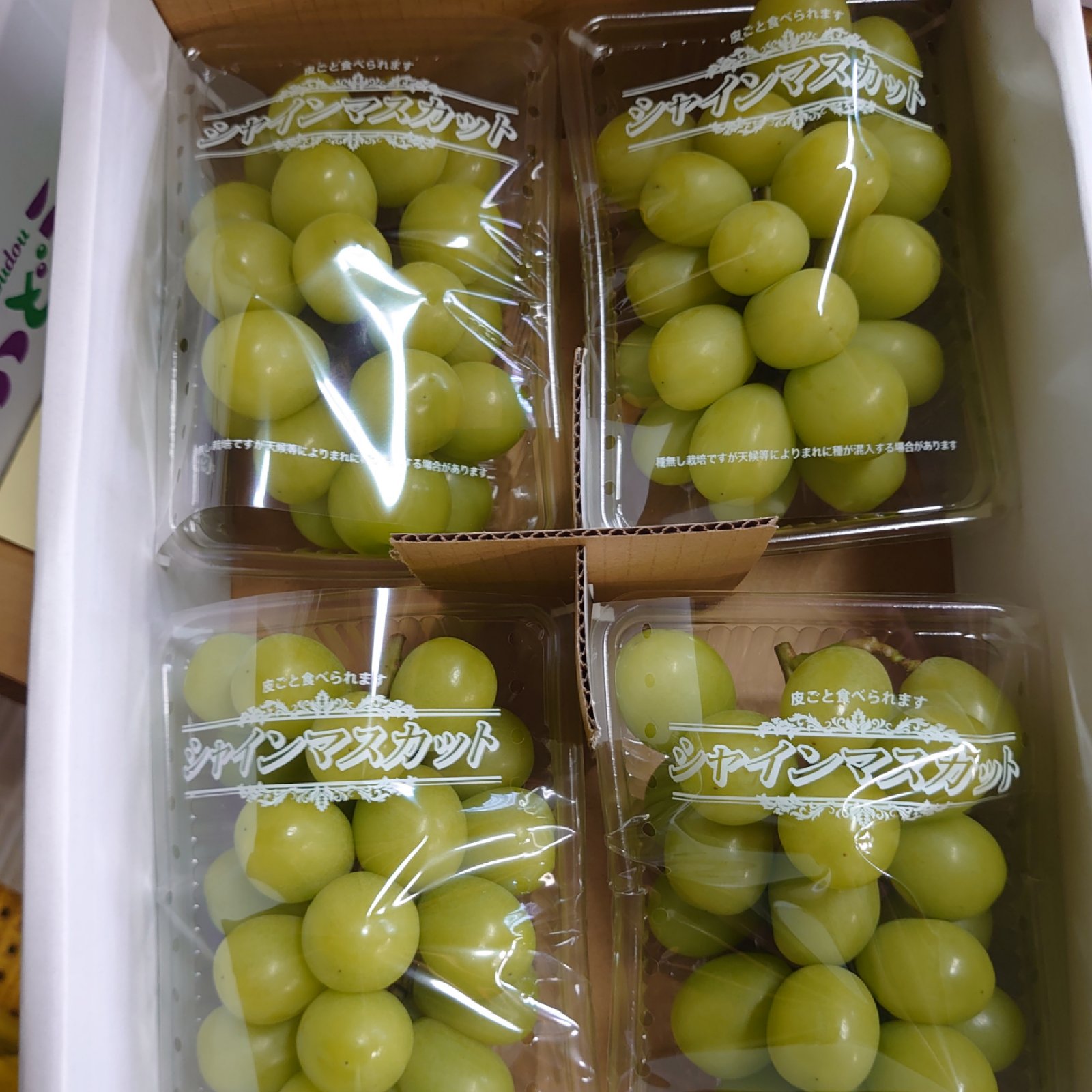 d132ac1487599800819facb22ad2d5