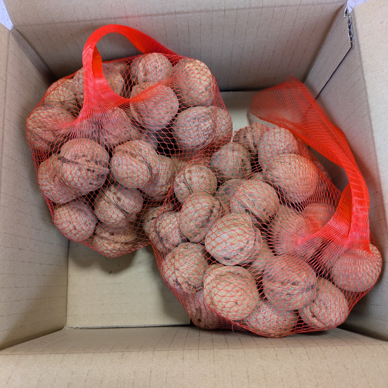 信濃クルミ殻付き1kg(58~65個) ｜ 果物/その他果物 産直アウル 農家