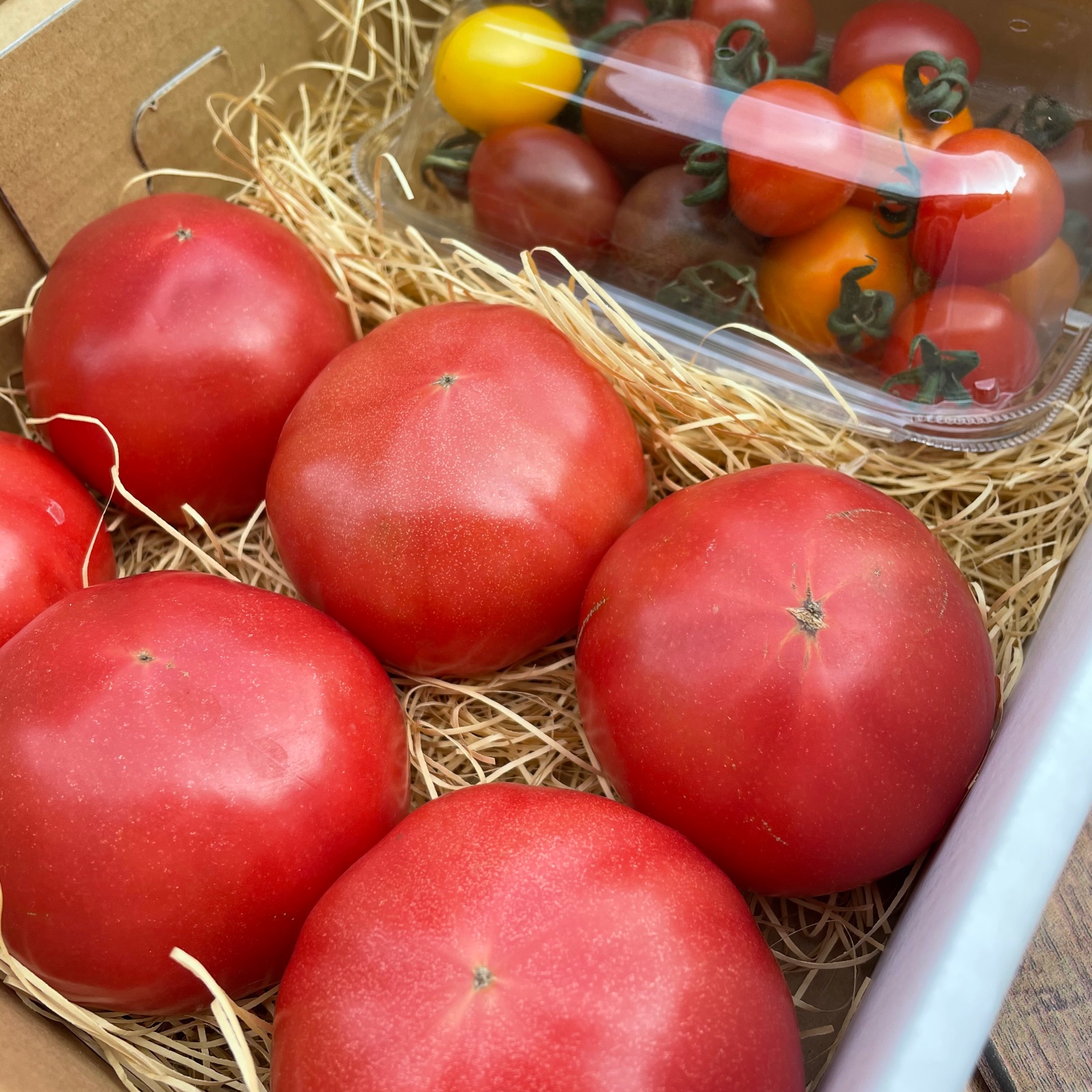 と*と様 とまと　2冊セット 赤熟もぎり！水耕栽培の王様トマト＆ミニトマトのセット ｜ 野菜