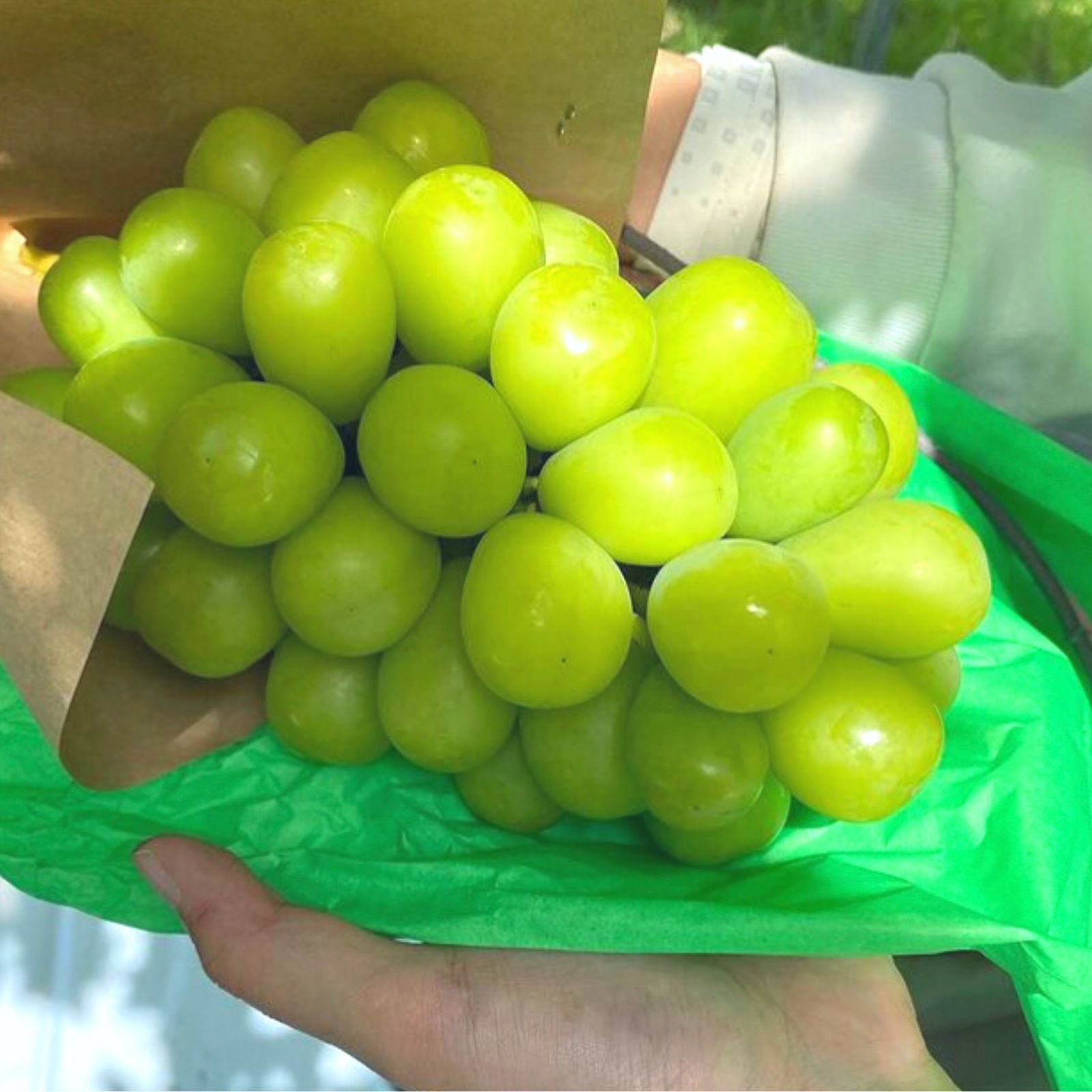ワケアリ】甘みたっぷりシャインマスカット 家庭用1kg（2〜3房 ｜ 果物
