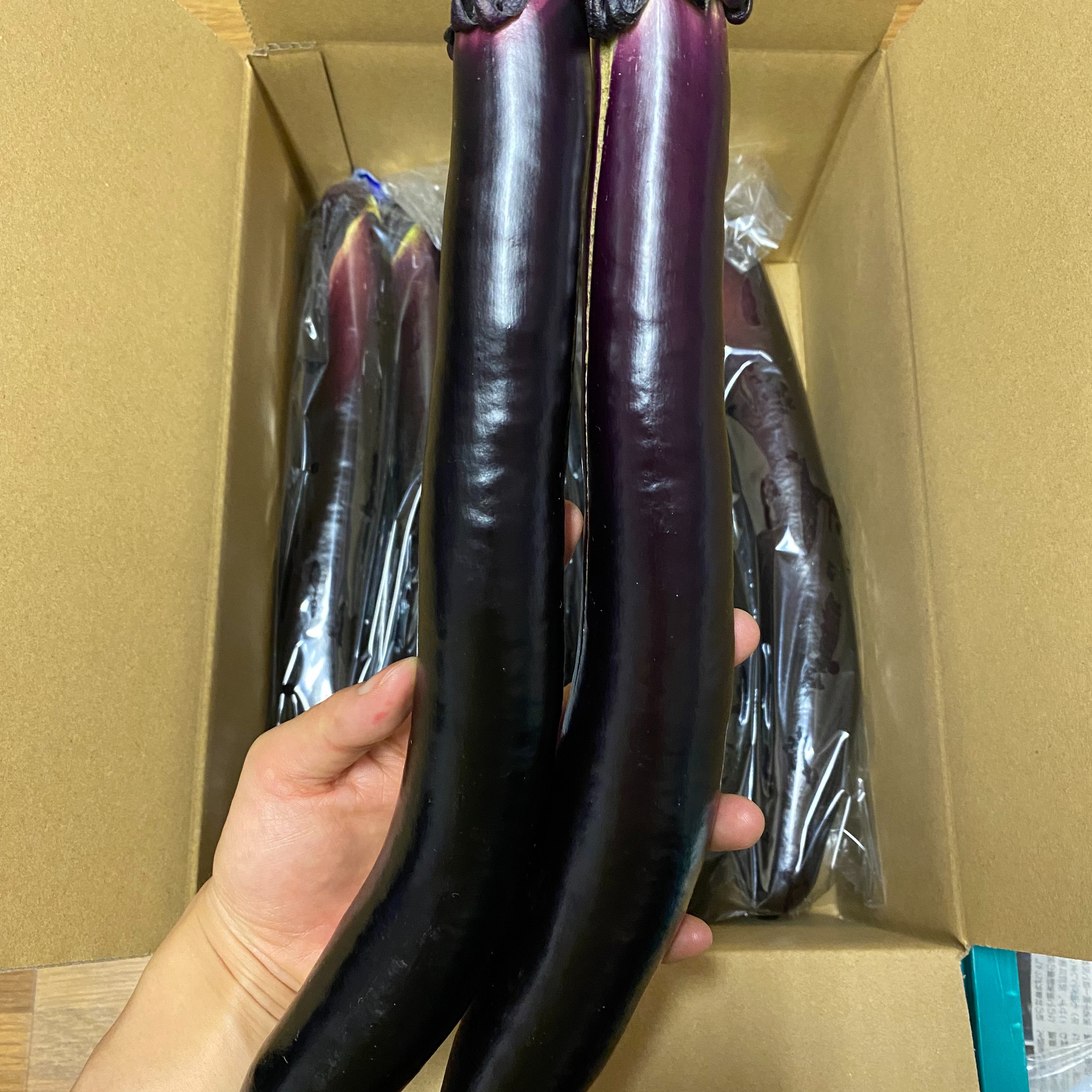 長なす　農家直送　箱込み約２４キロ