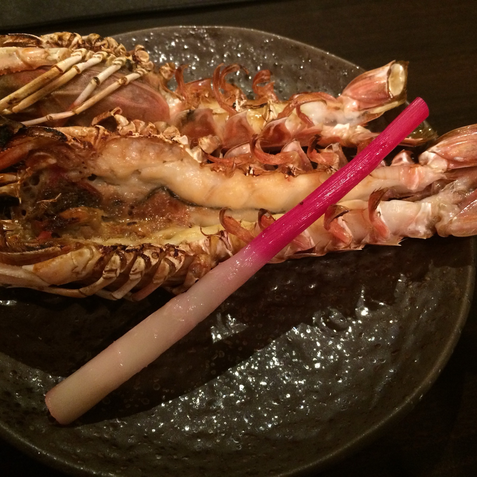 プリンセスLobster！駿河湾産手長エビ大中500g ｜ 魚介類/エビ 産直