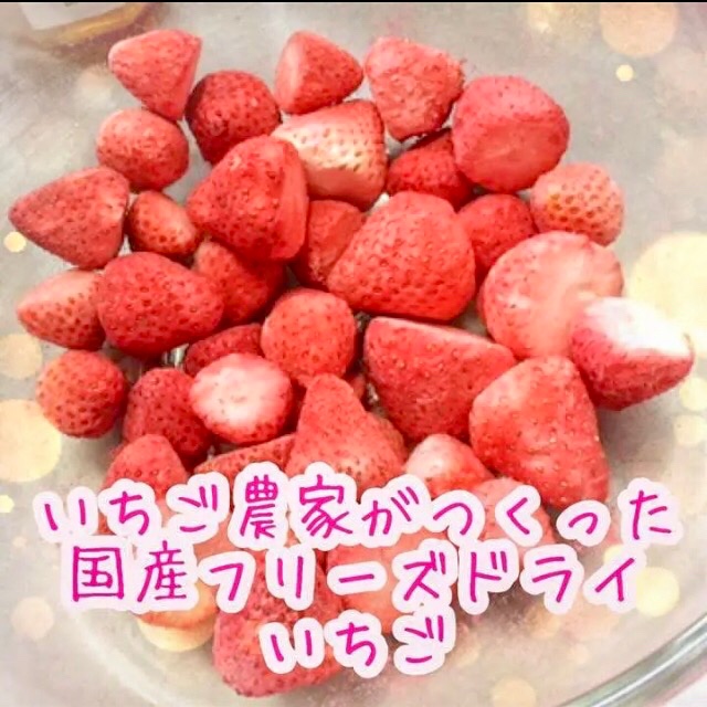 いちご農家がつくった】国産フリーズドライいちご(固形) | 果物