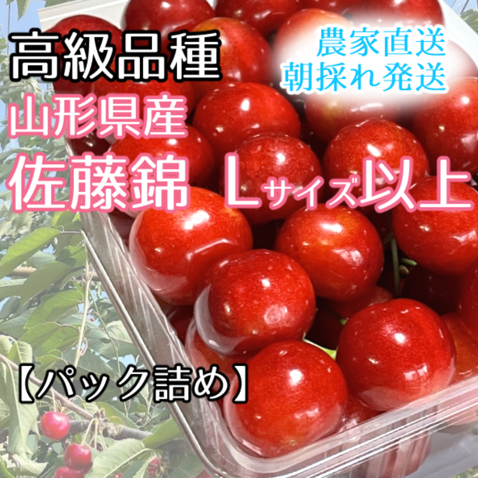 アウルだけの限定価格】高級さくらんぼ L、2Lサイズ混合 500g【パック