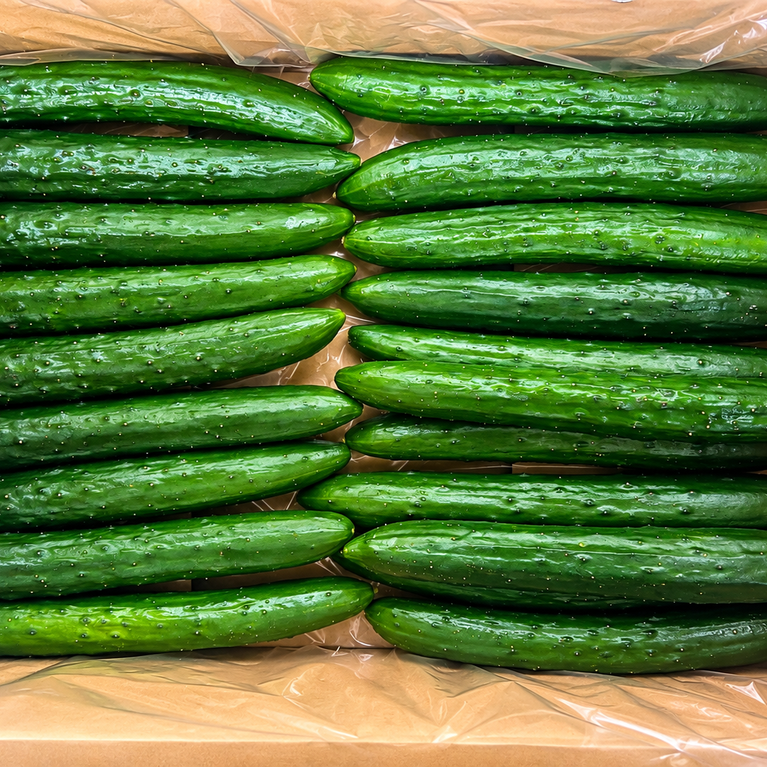 深谷プレミアムきゅうり2kg＋キラメ＆トキメ お試しセット ｜ 野菜
