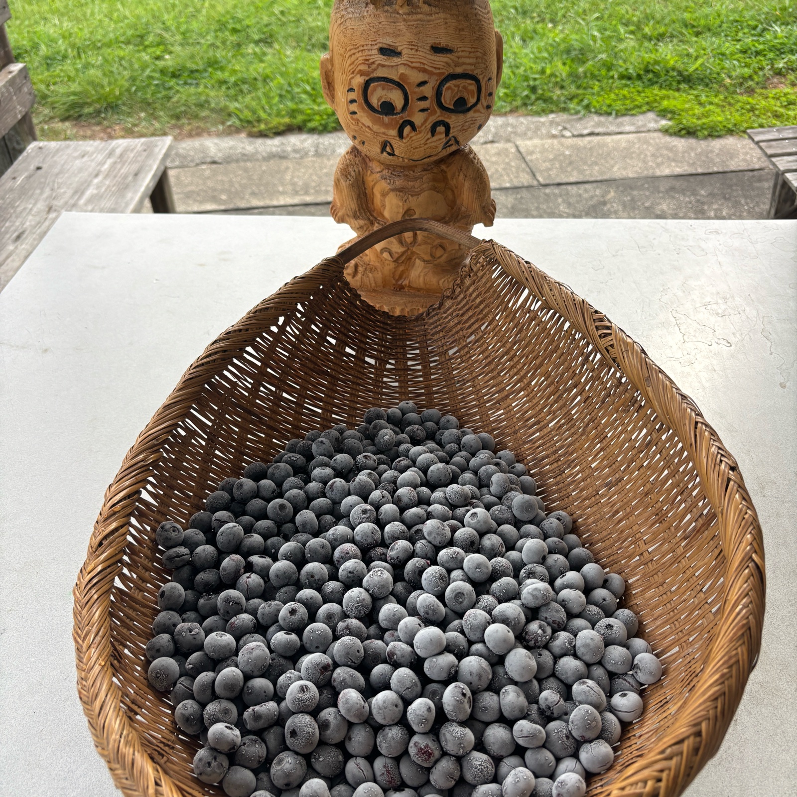 特選大粒 無農薬冷凍ブルーベリー | 果物/ベリー類 産直アウル 農家