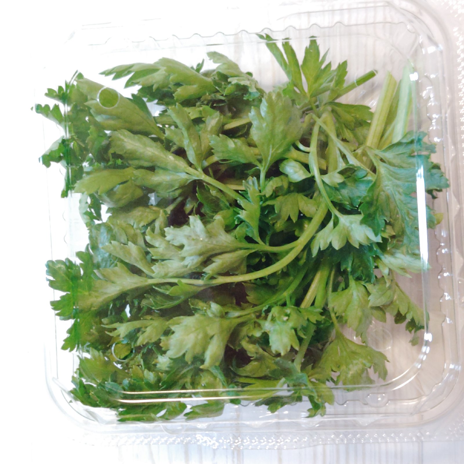 母の日ギフト】サラダやパーティーの彩りセット エディブルフラワー