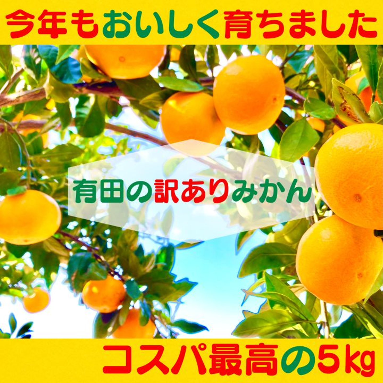 なっちゃんさんが SHURIKEN FARM の 極上な訳あり有田みかん 5㎏ 衝撃
