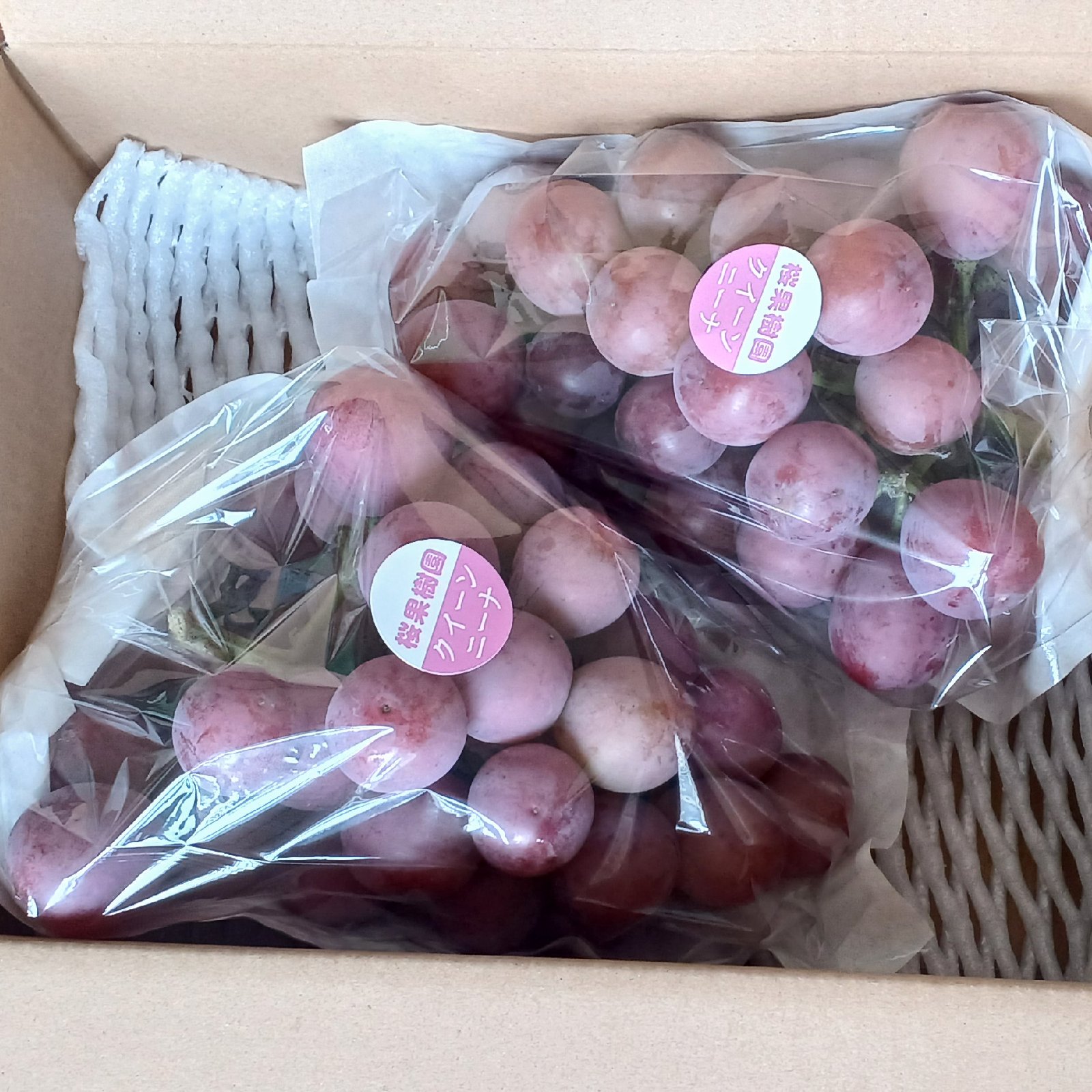 種なし クイーンニーナ 計1kg(2〜3房) ｜ 果物/ぶどう 産直アウル 農家