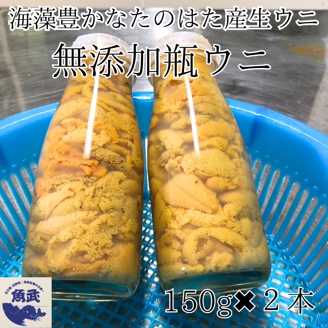 北三陸たのはた産 瓶入り生うに 150gX2本 ｜ 魚介類/ウニ 産直アウル