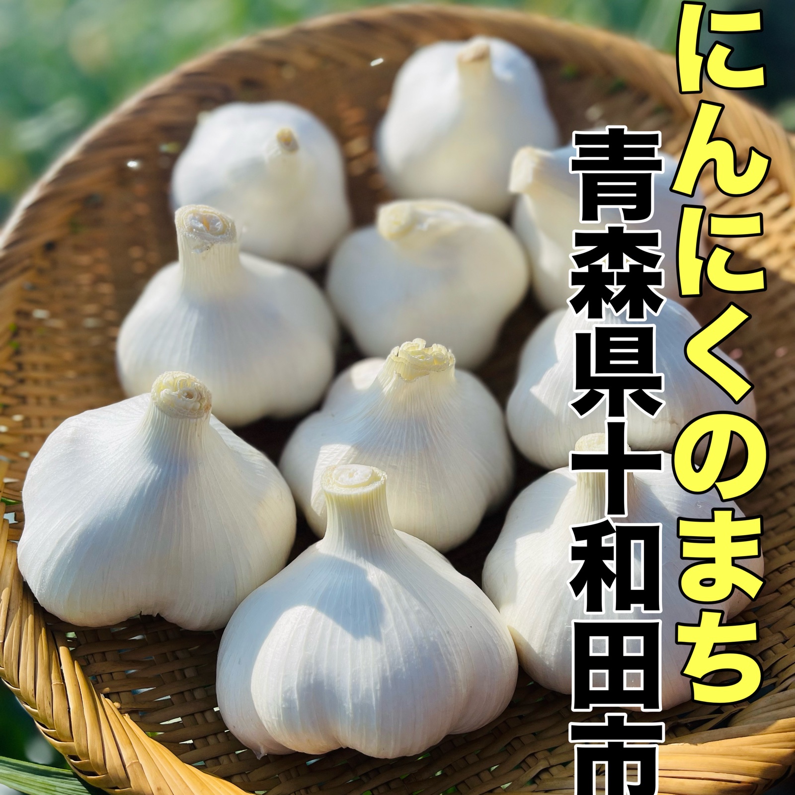 訳あり・土付き芽あり】青森にんにく白玉王（中小玉）1kg | 野菜