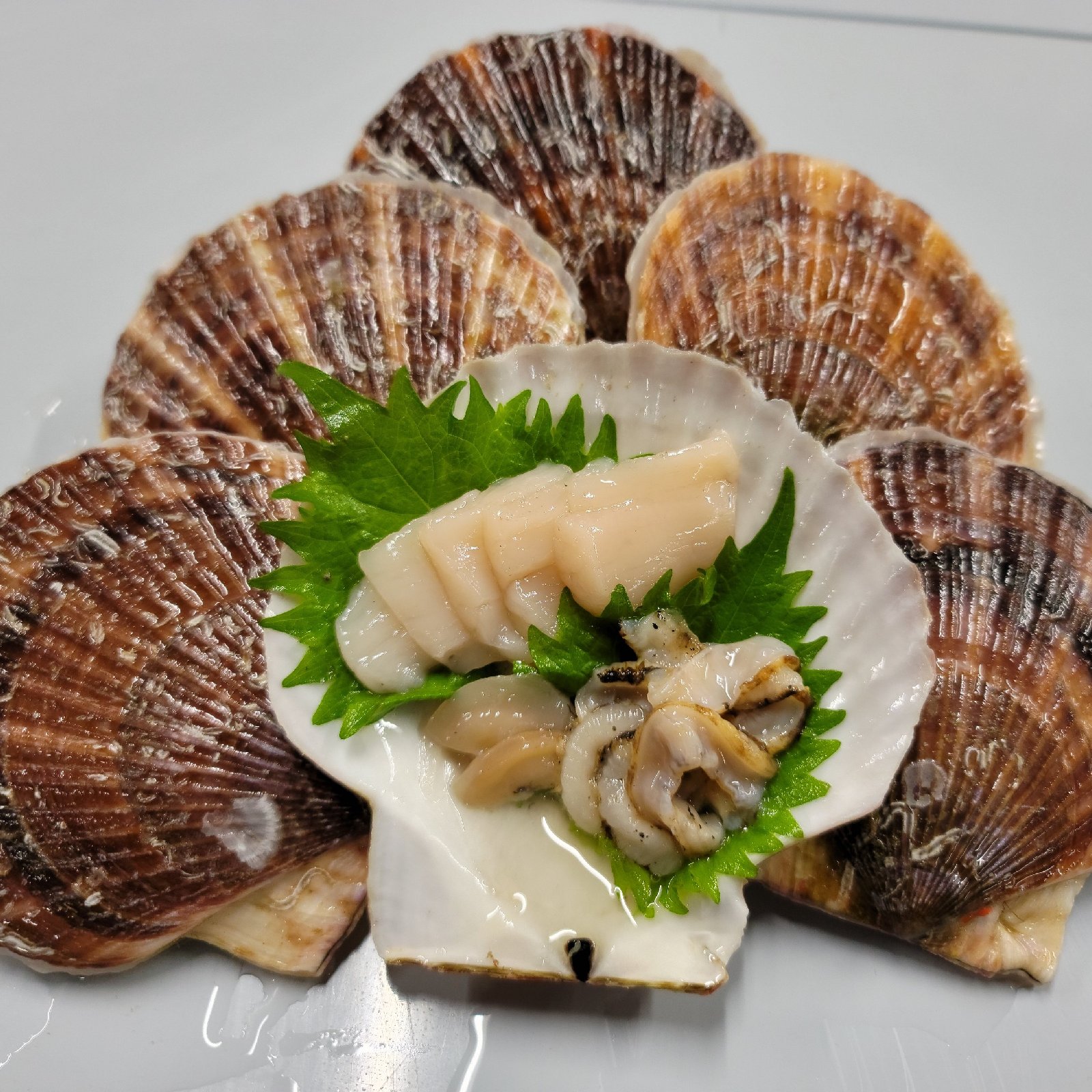 北海道産!!活ホタテ三年貝 | 魚介類/ホタテ 産直アウル 農家から直接