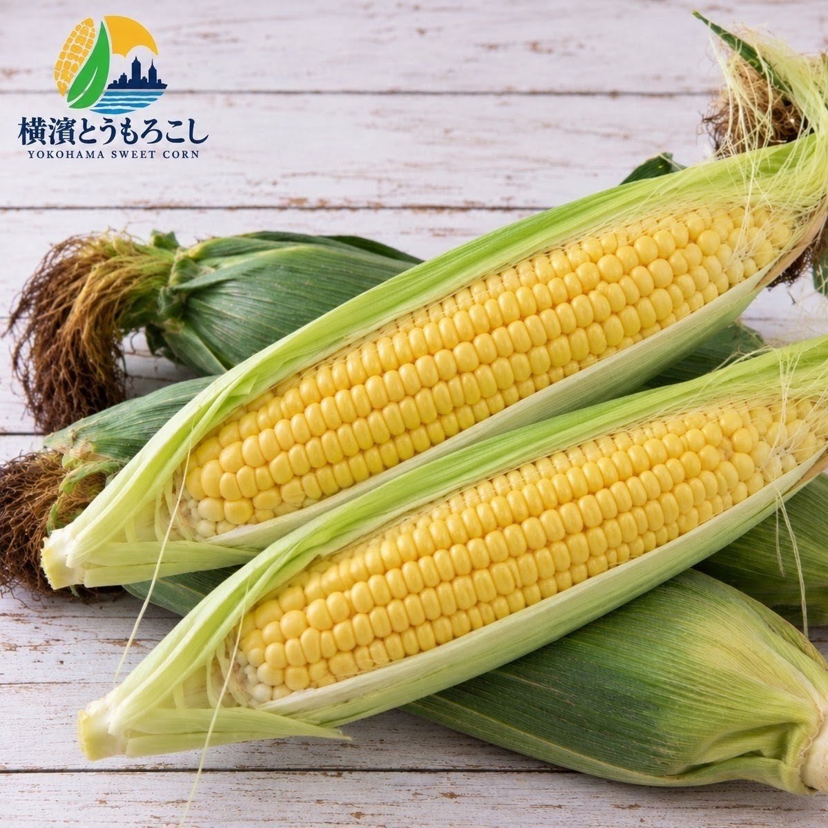 2027年8月予定】横浜から甘くて美味しい とうもろこし『横濱