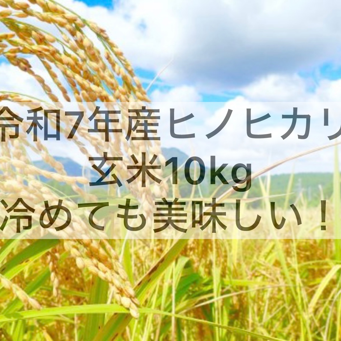 令和7年10月収穫ヒノヒカリ玄米10kg ｜ 米・穀物/玄米 産直アウル 農家