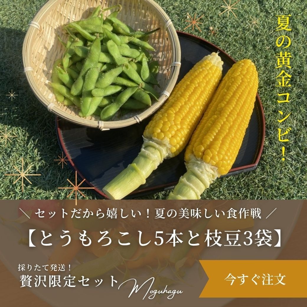 旬祭限定】おまけ付き 夏の黄金コンビ 朝採りとうもろこし5本