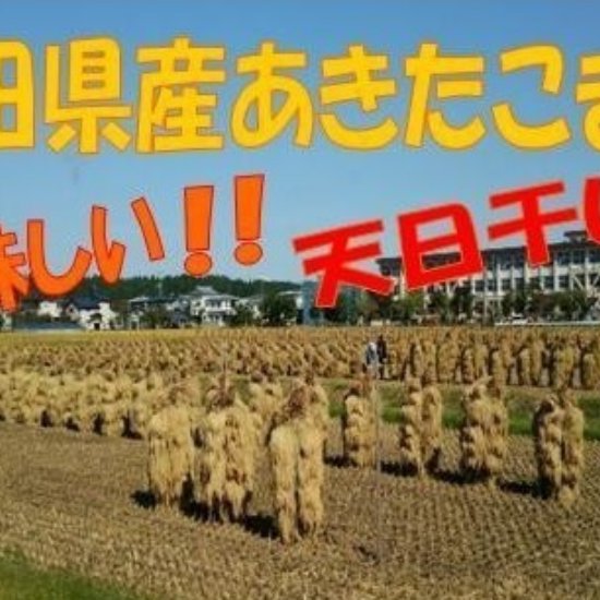 農家直送 令和7年産 自然乾燥米 秋田県産あきたこまち 玄米20kg | 米