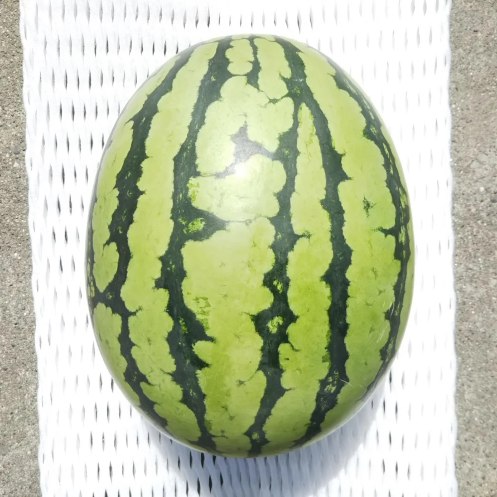 りりり様限定スイカ