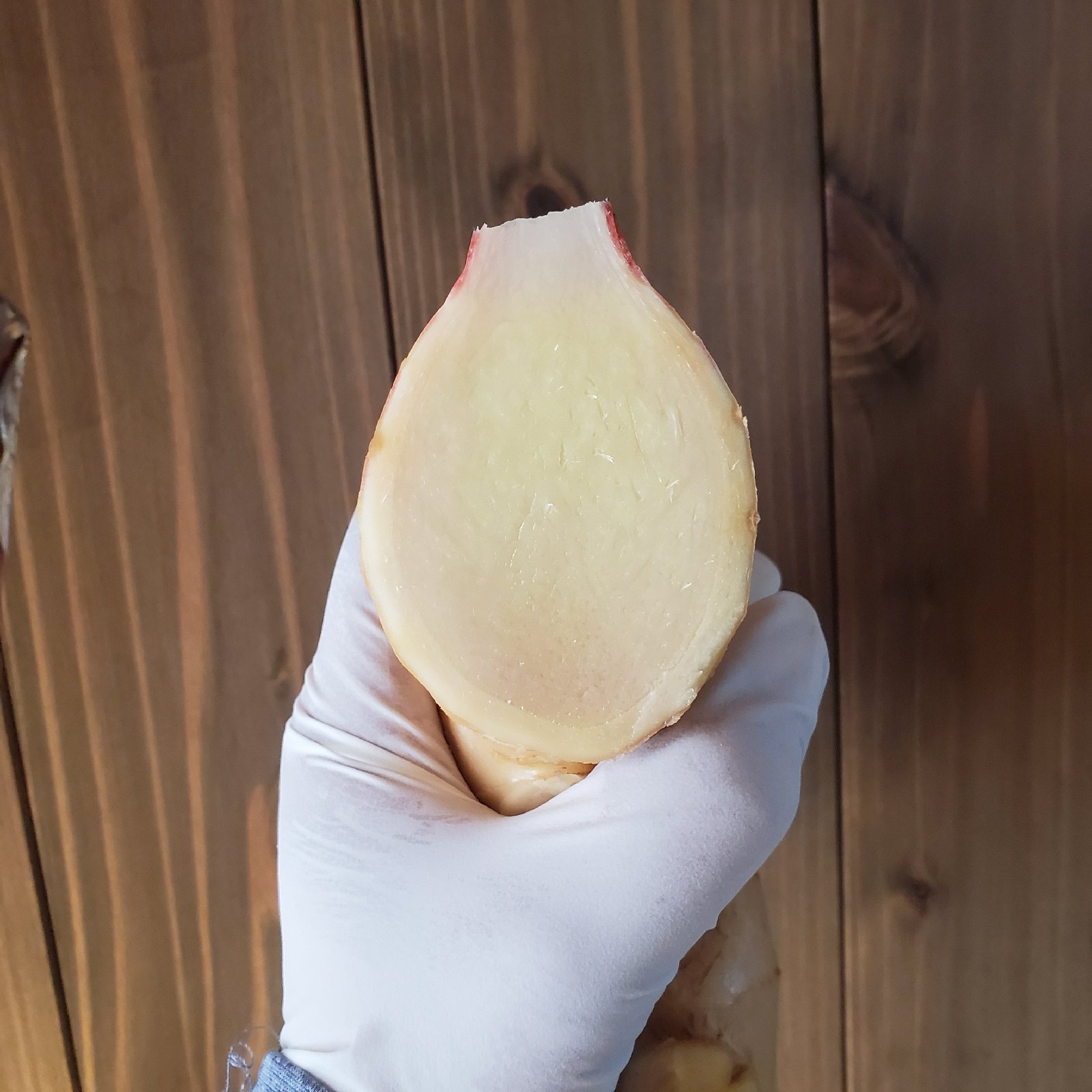 高知県産 土付き新生姜1kg ｜ 野菜/薬味 産直アウル 農家・漁師など