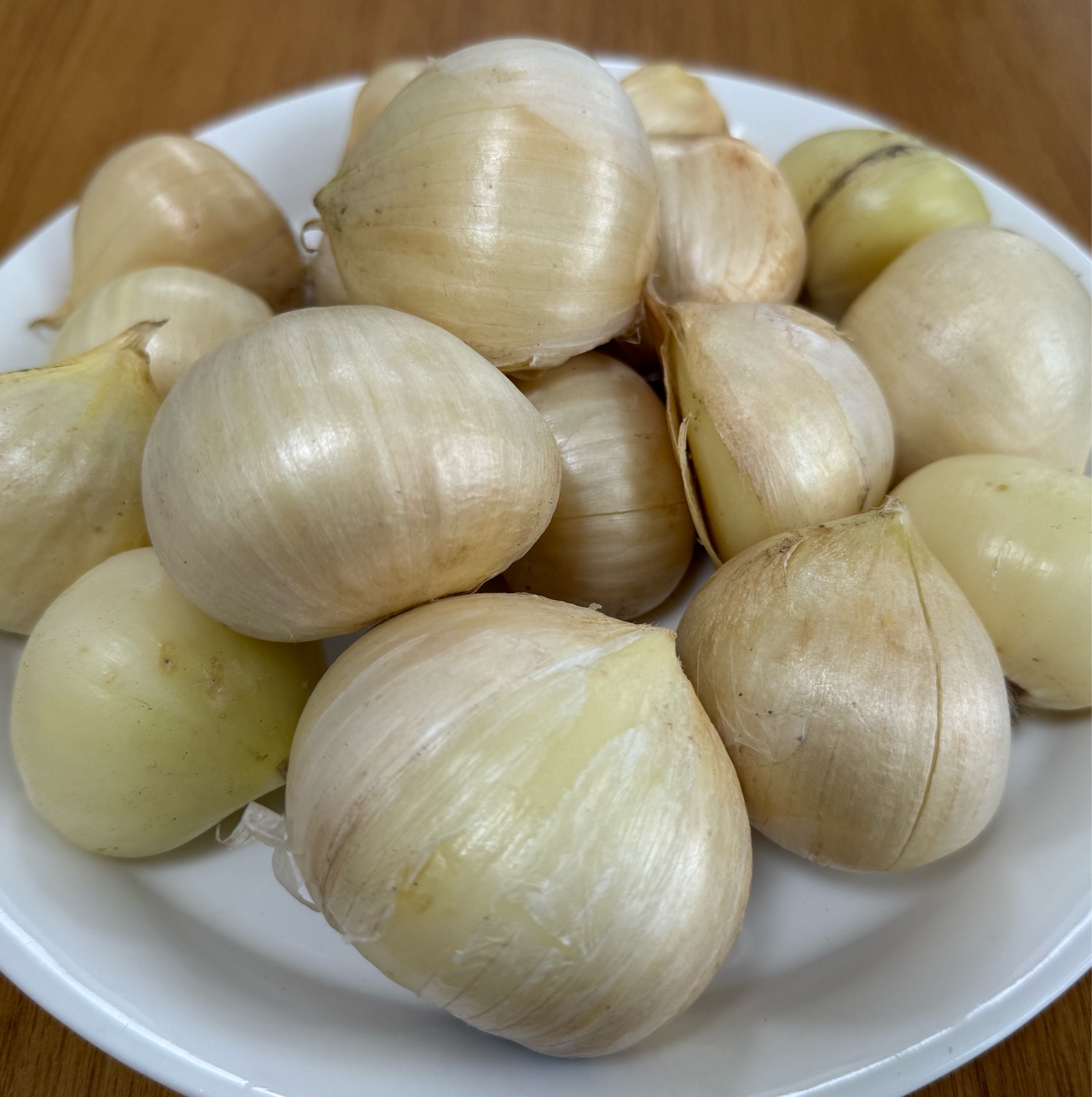 横浜産 ジャンボニンニク 1kg（無臭ニンニク） ｜ 野菜/にんにく 産直