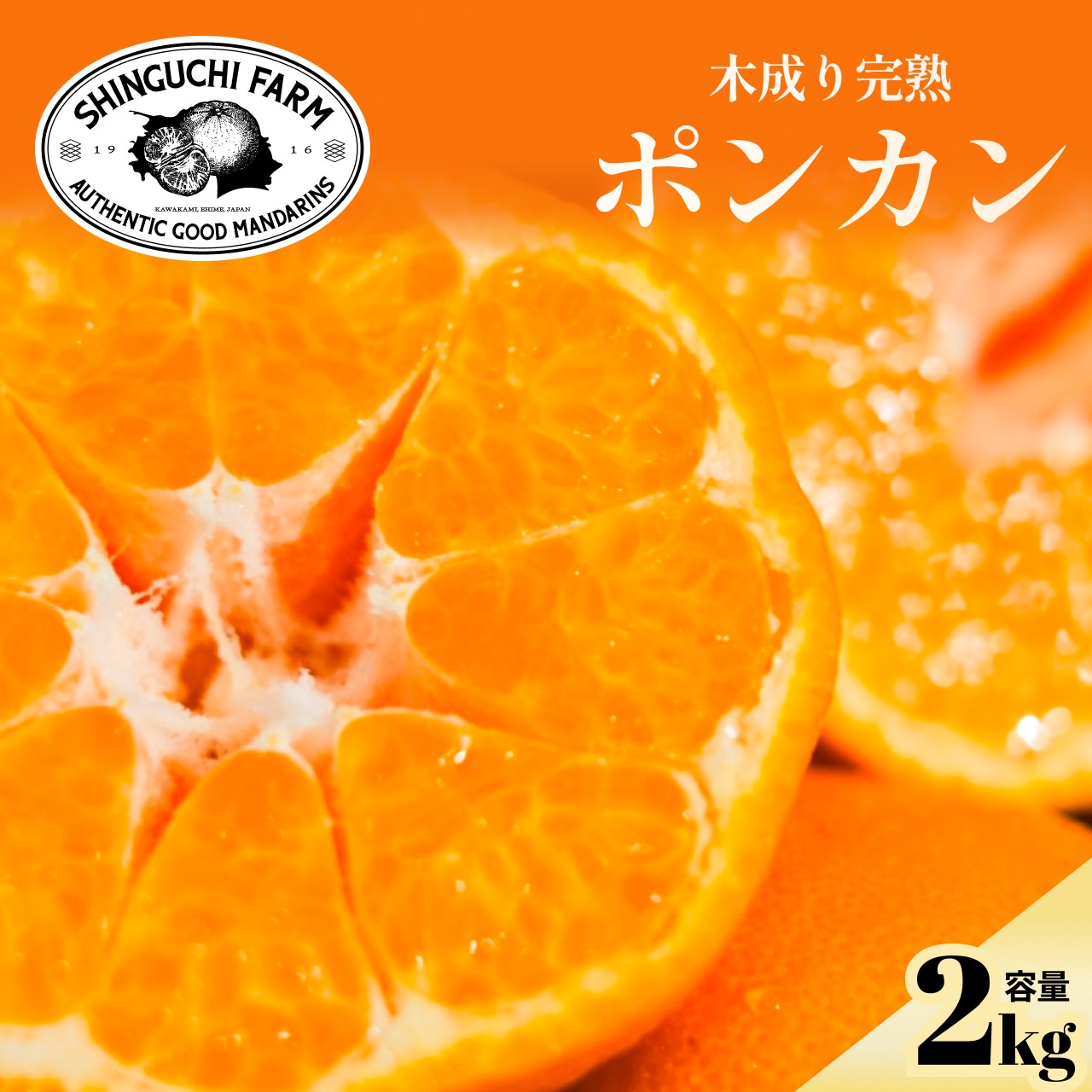 甘味と酸味のバランスが絶妙】ポンカン 2kg 愛媛県産 家庭用 ぽんかん