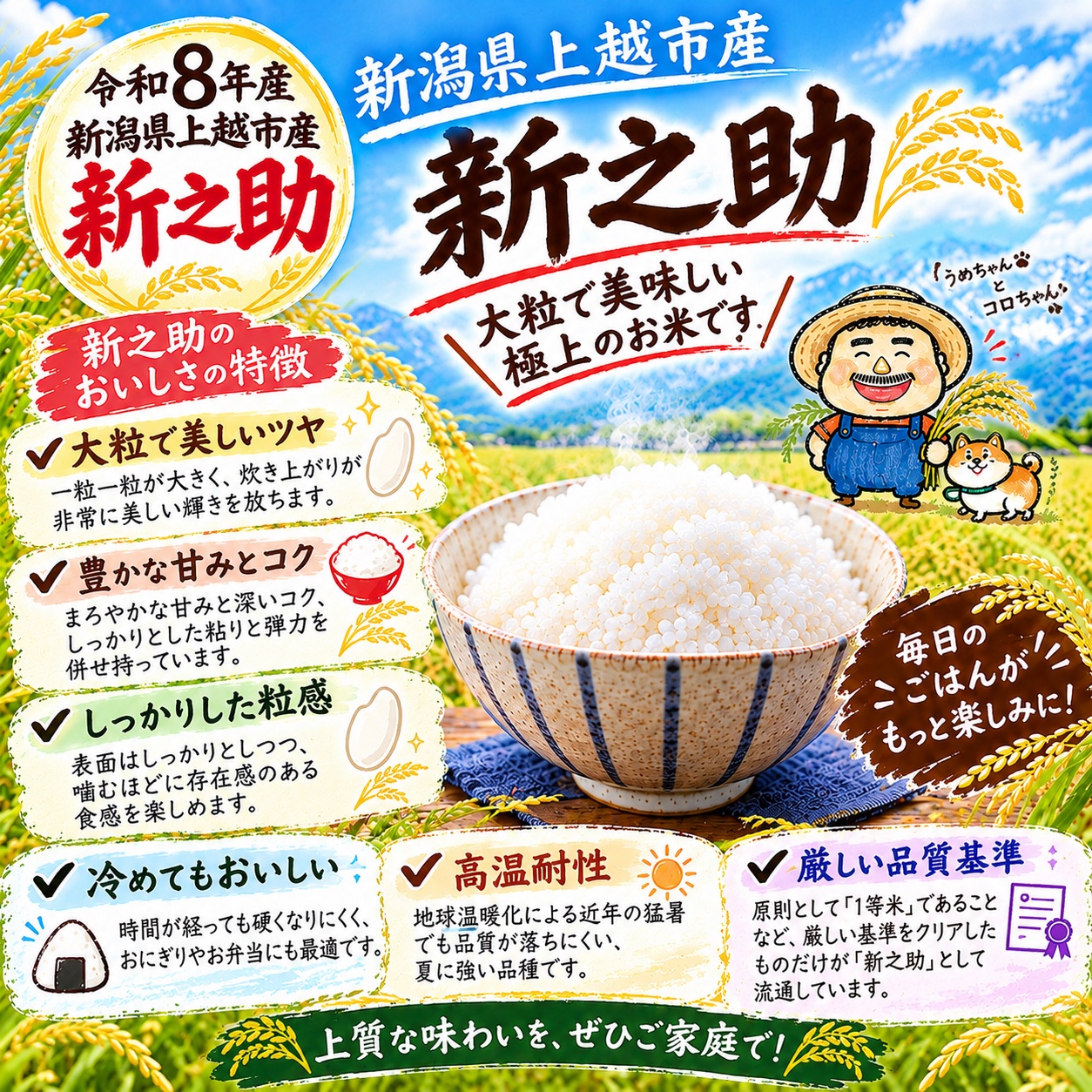 数量限定】令和8年産 新之助 5キロ ｜ 米・穀物/米/精米 産直アウル