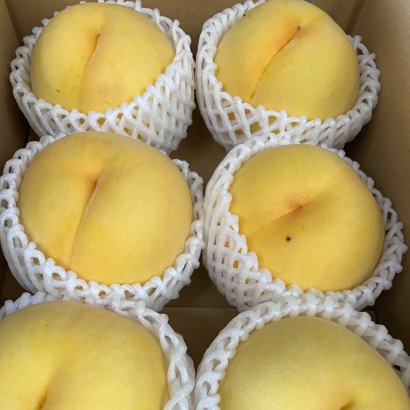 黄金桃（果物＞もも）の産地直送商品一覧（通販・お取り寄せ）-産直アウル